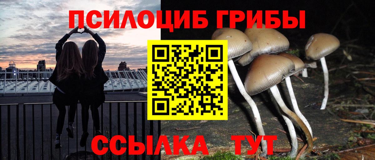 Псилоцибиновые грибы GOLDEN TEACHER  закладка  Воткинск  Вход с VPN  Галлюциногенные грибы Psilocybe 